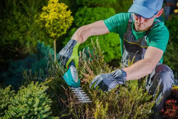 landscaping services Coloma